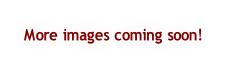 More images coming soon!